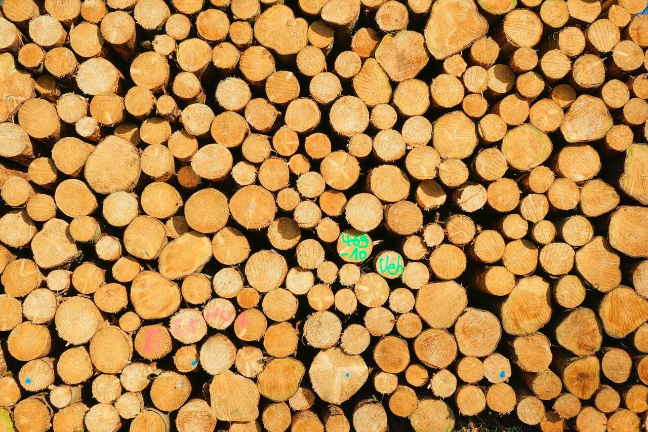 Tartak – jakie drewno znajdziemy na miejscu?